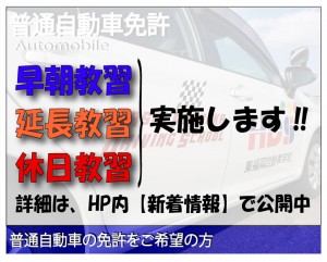 HP用　普通車キャッチ2