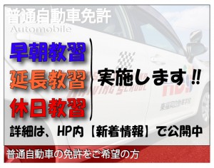 HP用　普通車キャッチ6